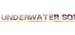 ＵＮＤＥＲＷＡＴＥＲ ＳＱＵＡＤ ()
