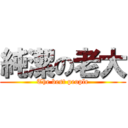 純潔の老大 (The best people)