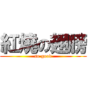 紅燒の翅膀 (so good)