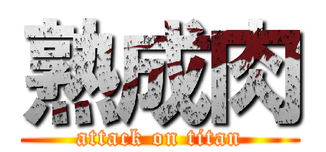 熟成肉 (attack on titan)