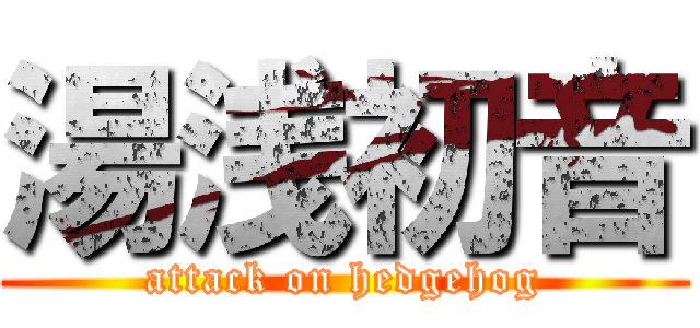 湯浅初音 (attack on hedgehog)