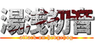 湯浅初音 (attack on hedgehog)