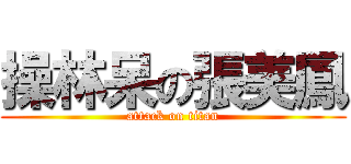 操林呆の張美鳳 (attack on titan)