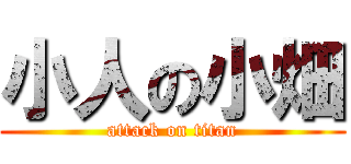 小人の小畑 (attack on titan)