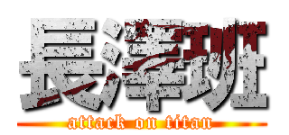 長澤班 (attack on titan)
