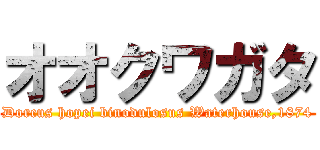 オオクワガタ (Dorcus hopei binodulosus Waterhouse,1874)