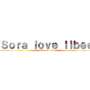 Ｓｏｒａ ｌｏｖｅ Ｉｉｂｅｅ (attack on titan)
