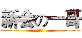 新会の一哥 (炫酷坤)