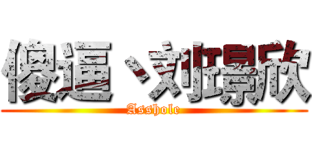 傻逼丶刘璟欣 (Asshole)