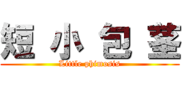 短 小 包 茎 (Little phimosis)