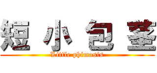 短 小 包 茎 (Little phimosis)