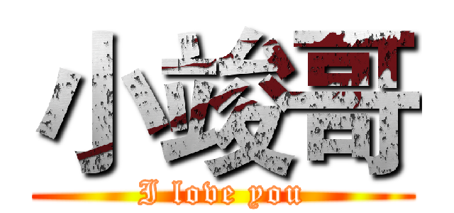 小竣哥 (I love you)