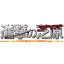 進撃の芝原 (attack on sibahara)