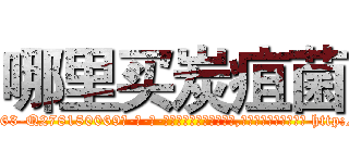 哪里买炭疽菌 (哪里买炭疽菌【电-186x2687x6963-Q278180069元-吉-药-业】我们做的是长期生意,靠的是老客户长期支持 http://sngk.net/6T4jRK
)
