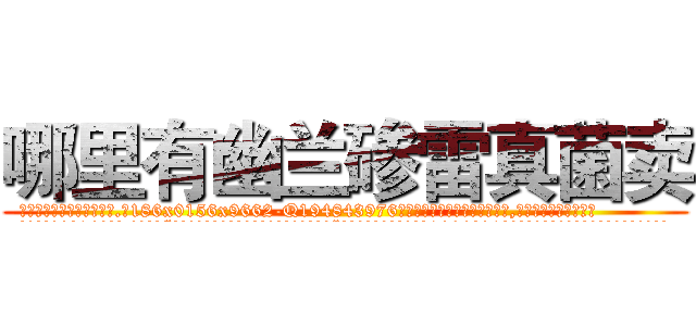 哪里有幽兰碜雷真菌卖 (哪里有幽兰碜雷真菌卖【电.话186x0156x9662-Q194843976林氏药业】我们做的是长期生意,靠的是老客户长期支持
参考消息网2月20日报道 韩媒称，“剩女多、离婚率高的城市，房价一定会上涨。”这是中国经济学家金岩石2016年12月参加在上海举行的房地产相关论坛时说的话。
)
