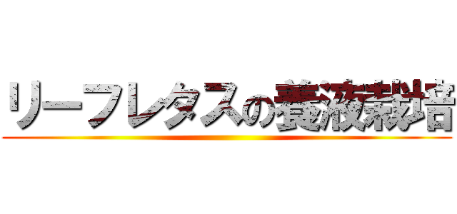 リーフレタスの養液栽培 ()