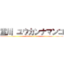 重川 ユウカンナマンコ (attack on titan)