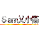 Ｓａｍ乂小傷 ()