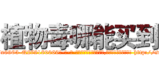 植物毒哪能买到 (植物毒哪能买到【电-186x2687x6963-Q278180069元-吉-药-业】我们做的是长期生意,靠的是老客户长期支持 http://sngk.net/xG4PU9
)