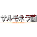 サルモネラ菌 (attack on titan)