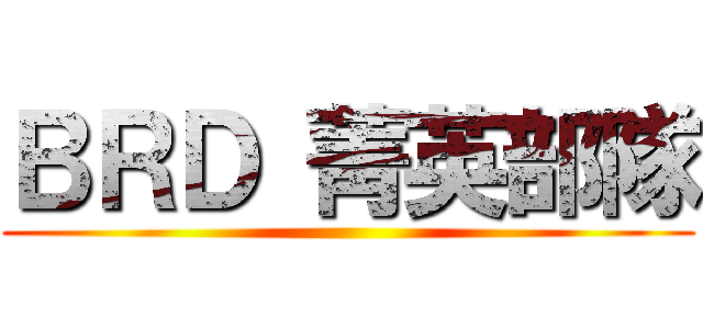 ＢＲＤ 菁英部隊 ()