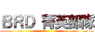 ＢＲＤ 菁英部隊 ()