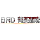 ＢＲＤ 菁英部隊 ()