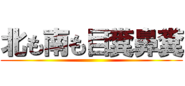 北も南も目糞鼻糞 ()