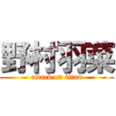 野村羽菜 (attack on titan)