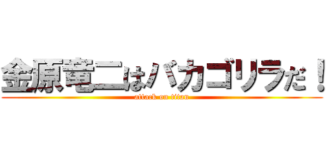 金原竜二はバカゴリラだ！ (attack on titan)