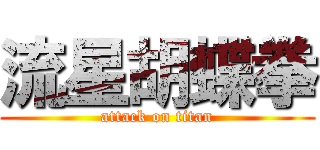 流星胡蝶拳 (attack on titan)