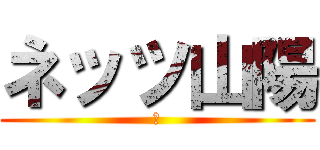 ネッツ山陽 (ｚ)