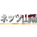 ネッツ山陽 (ｚ)