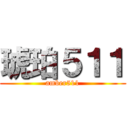 琥珀５１１ (amber511)