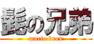 髭の兄弟 (mario bros)