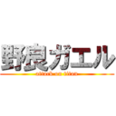 野良ガエル (attack on titan)