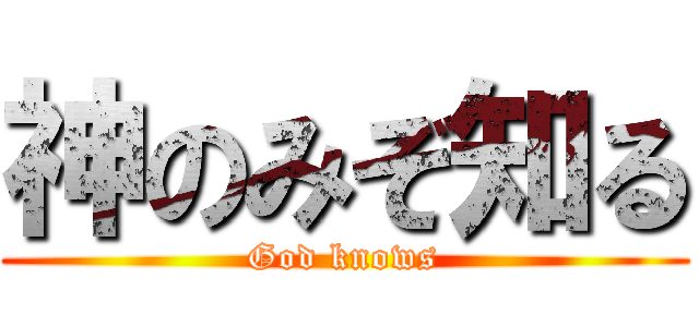 神のみぞ知る (God knows)