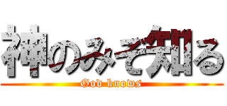 神のみぞ知る (God knows)