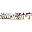 进击の张小宁 (I LOVE YOU)