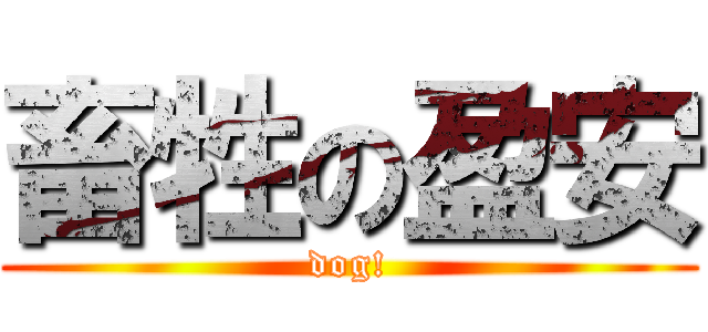 畜牲の盈安 (dog!)