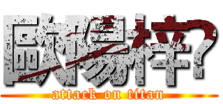 歐陽梓稭 (attack on titan)