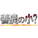 善良の小貓 (attack on titan)