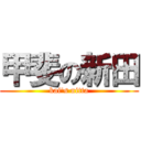 甲斐の新田 (kai\'s nitta)