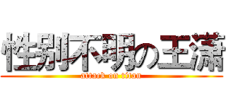 性别不明の王潇 (attack on titan)