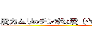 皮カムリのチンポは皮（・∀・）イイ！ ()