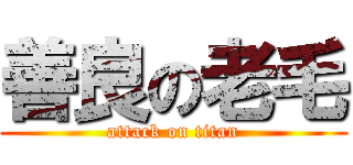 善良の老毛 (attack on titan)