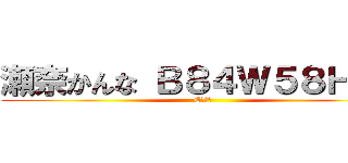 瀬奈かんな Ｂ８４Ｗ５８Ｈ８７ (Eカップ)