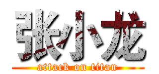 张小龙 (attack on titan)