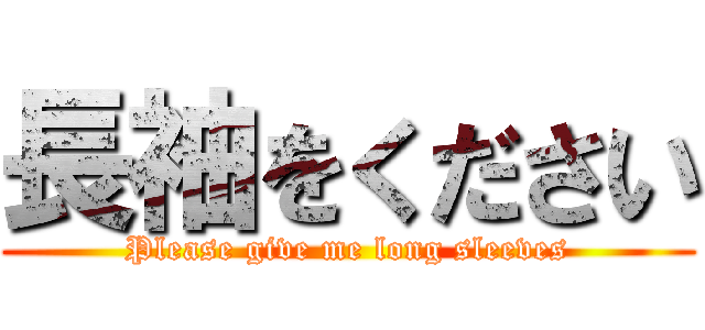 長袖をください (Please give me long sleeves)