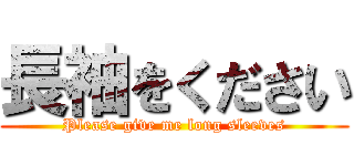 長袖をください (Please give me long sleeves)